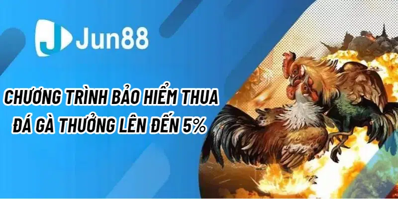 Chương trình bảo hiểm thua đá gà thưởng lên đến 5% có gì hot?